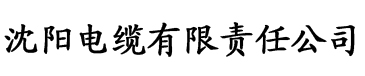 a级毛片免費视频电缆厂logo